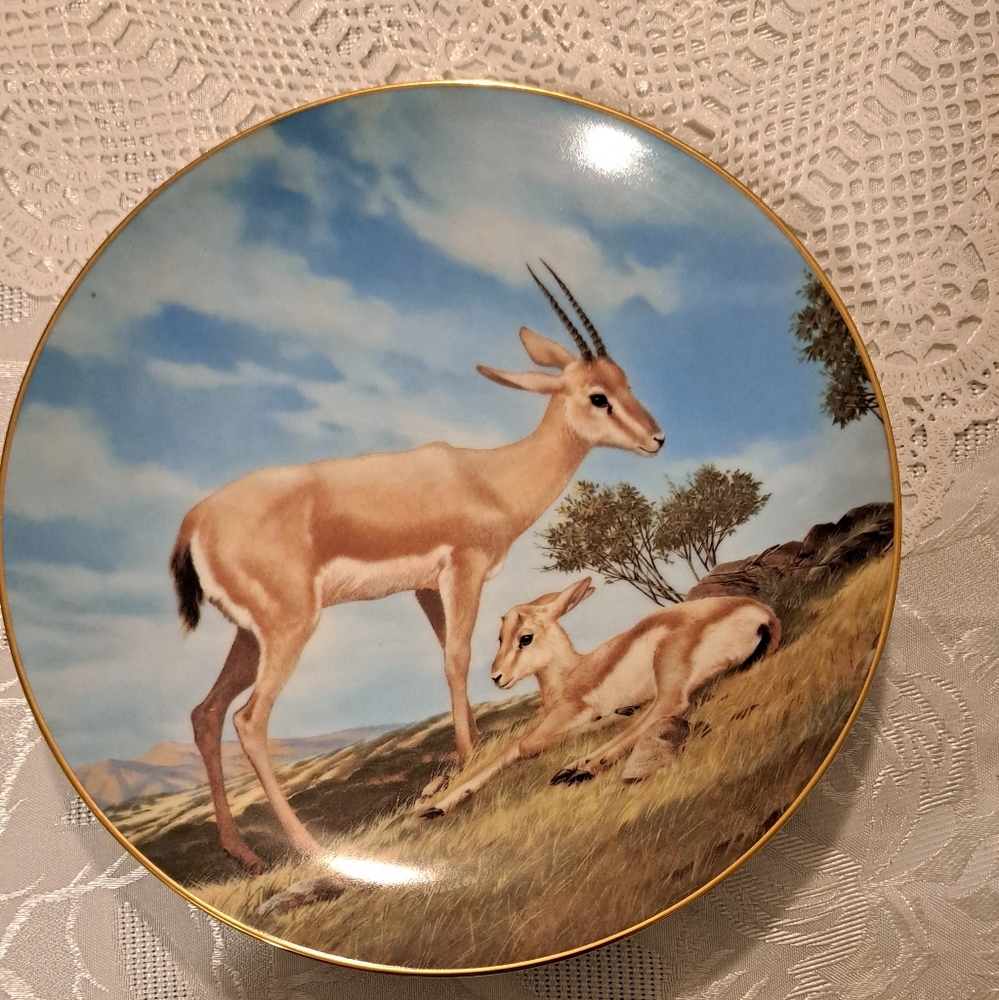 Decorator plate